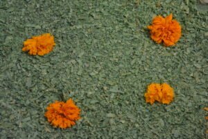 Flor de cempasúchil en una ofrenda de Día de Muertos