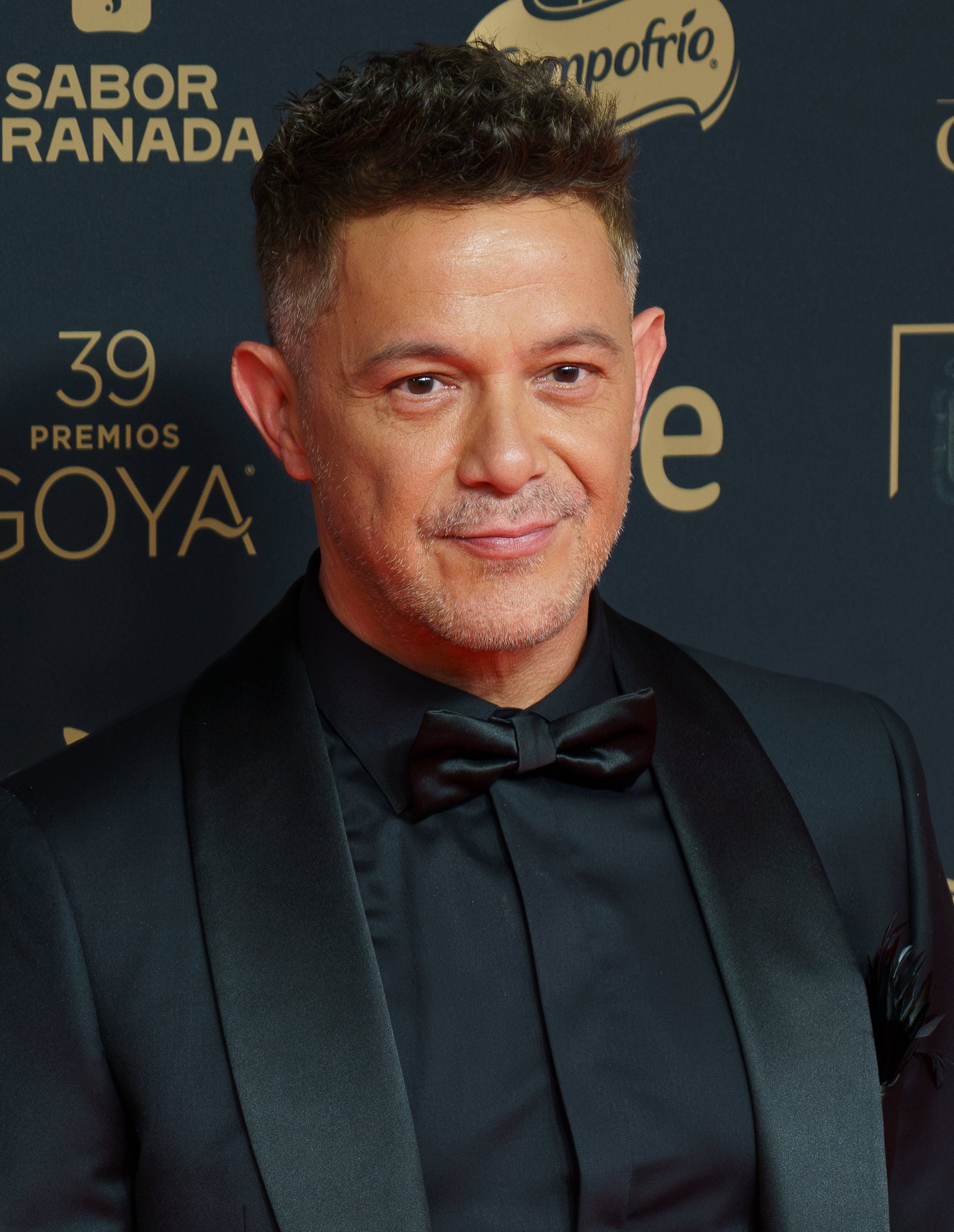 El cantante español Alejandro Sanz
