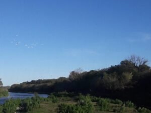 Cauce del río Pesquería en Nuevo León, donde continúa la búsqueda
