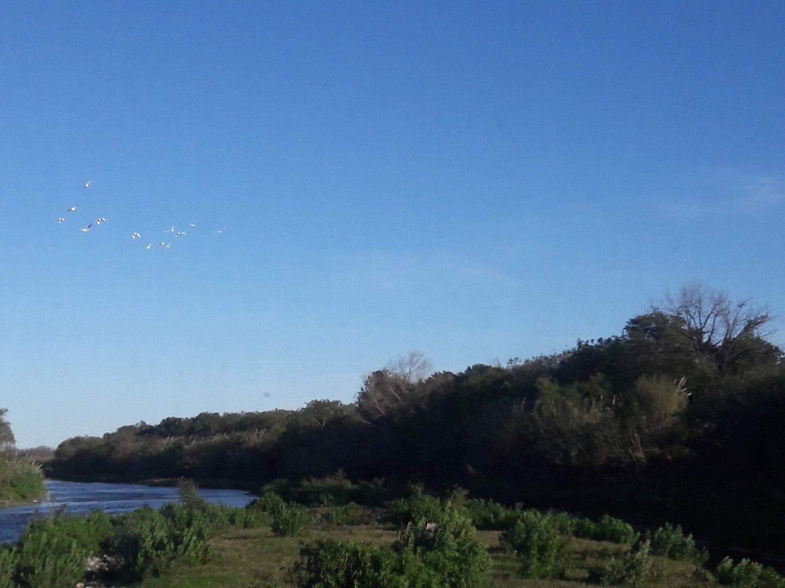 Cauce del río Pesquería en Nuevo León, donde continúa la búsqueda