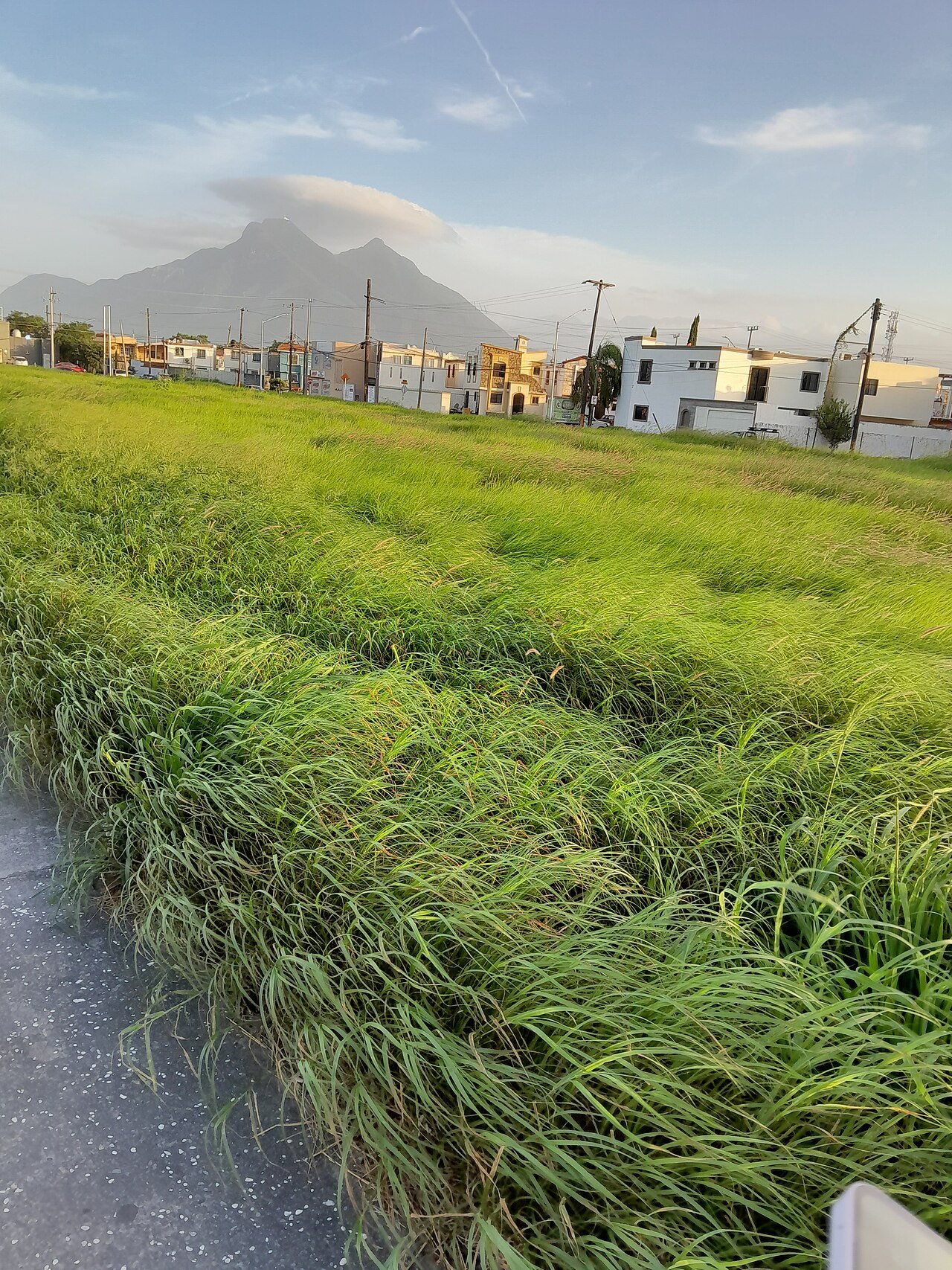 Domingo con lluvia ligera y máxima de 25 °C en Monterrey