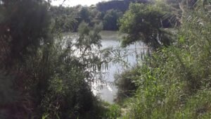 Río Grande en Laredo, Texas