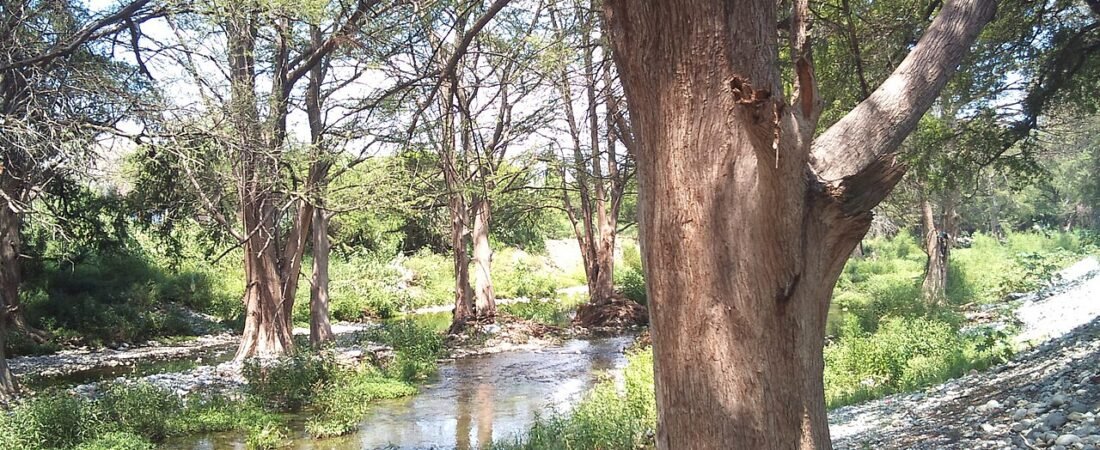 Propone PRI “Ley del Recibo Justo” para limitar recargos de Agua y Drenaje