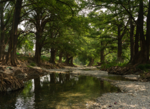Río La Silla en el Bosque La Pastora